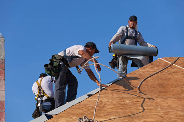 Best Affordable Roofing Company  in Danville, VA